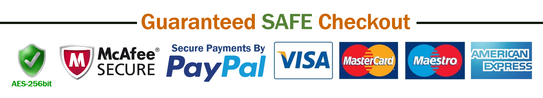 secure-checkout-icon-2